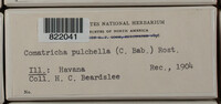 Image Associated With the Occurence